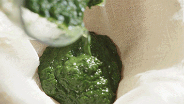 1035b7c4ba4b108fc26b3102a106f1e6.gif